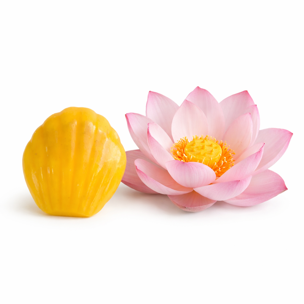 Fondant parfumé fleur de lotus