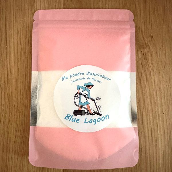 POUDRE ASPIRATEUR ARTISANAL 100GR