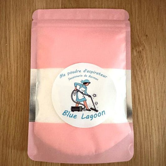 POUDRE ASPIRATEUR ARTISANAL 100GR